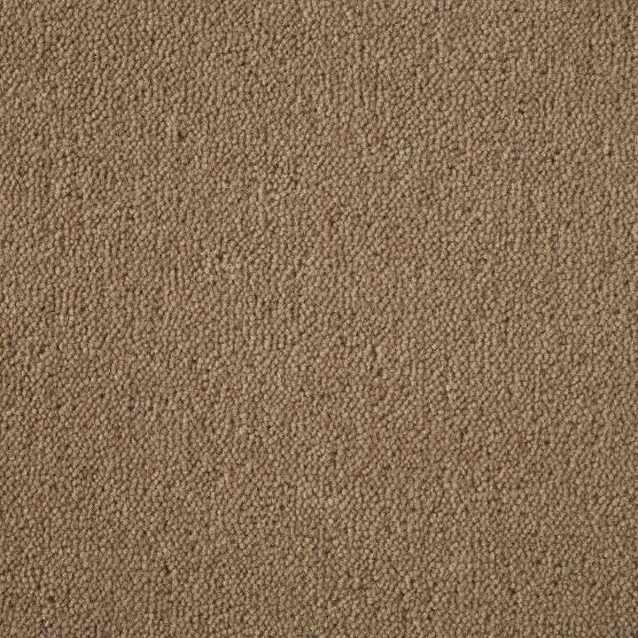 Westex Ultima Twist Crest Pampas Carpet