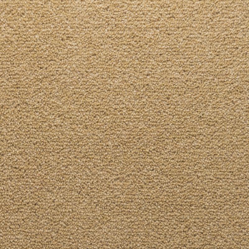 Penthouse Carpets Stateside 50oz Vegas Carpet