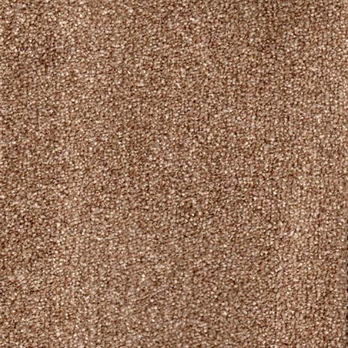 Royal Prestige 2024 Walnut Carpet