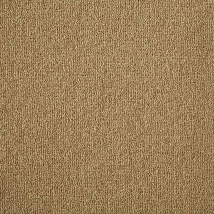 Westex Westend Exquisite Velvet Butternut Carpet