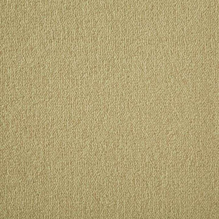 Westex Westend Velvet Supreme Cider Carpet