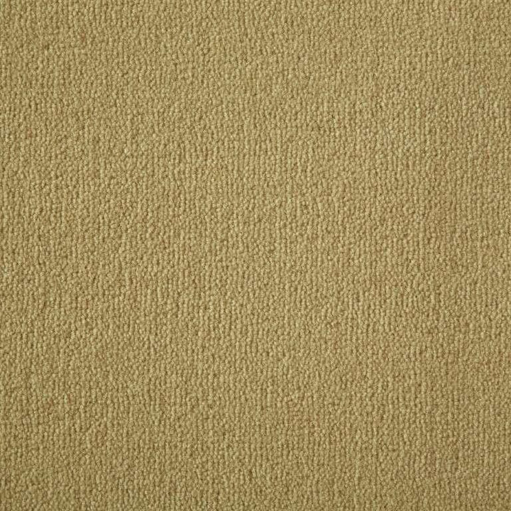 Westex Westend Velvet Prestige Panama Carpet