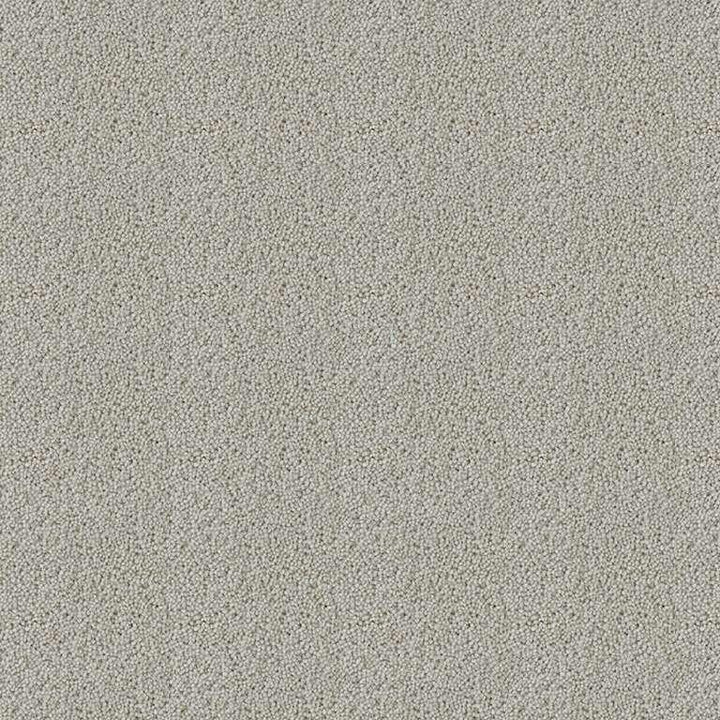 Westex Fired Earth Hebble Twist Canvas Carpet