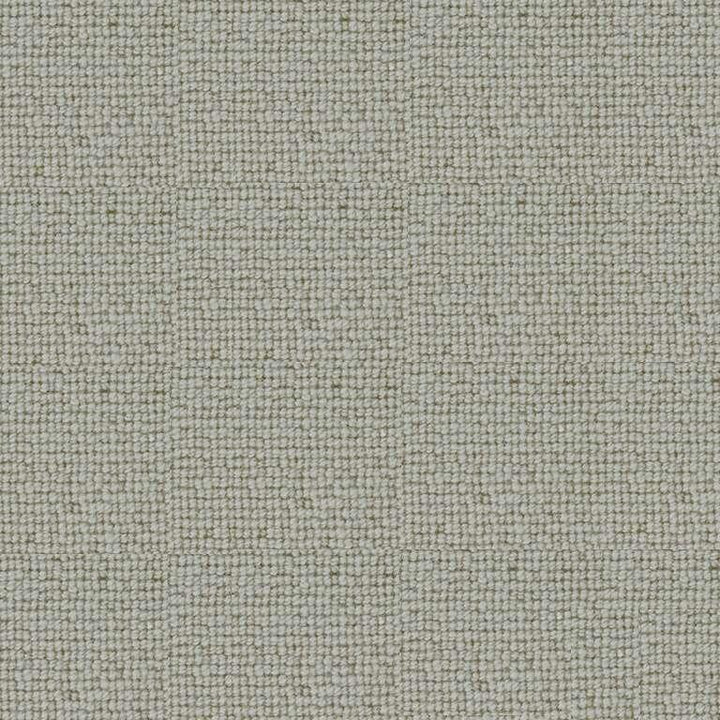 Westex Fired Earth Loxly Loop Flake White Carpet