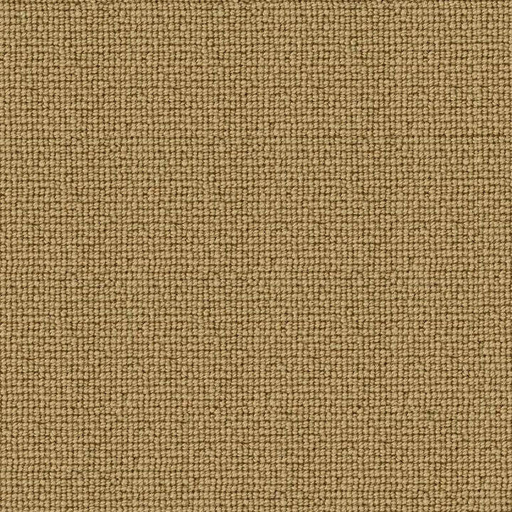 Westex Fired Earth Loxly Loop Goldfinch Carpet