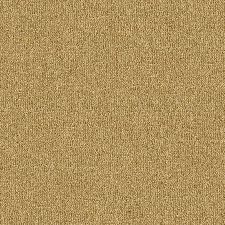 Westex Fired Earth Wiske Velvet Goldfinch Carpet