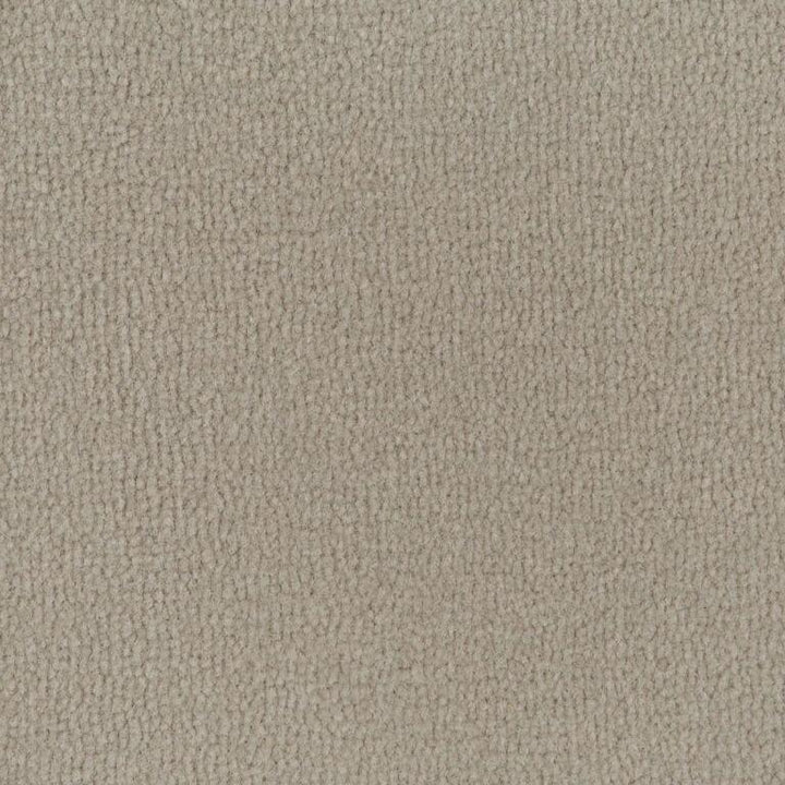 Westex Pure Luxury Wool Trokia Dormouse Carpet