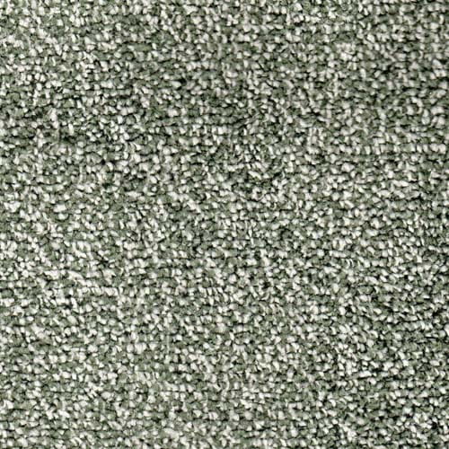 Hong Kong 2024 Willow Carpet