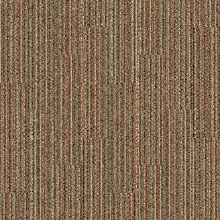 Interface Ww865 8110001 Autumn Warp Carpet Tiles