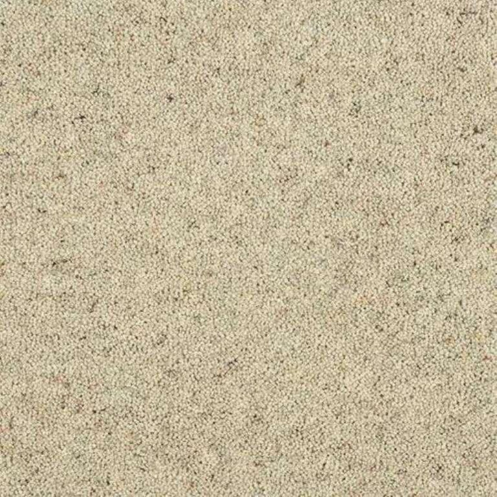 Abingdon Wilton Royal Charter Berber Deluxe Pumice Carpet