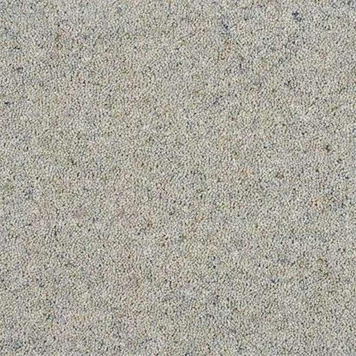 Abingdon Wilton Royal Charter Berber Deluxe Silhouette Carpet