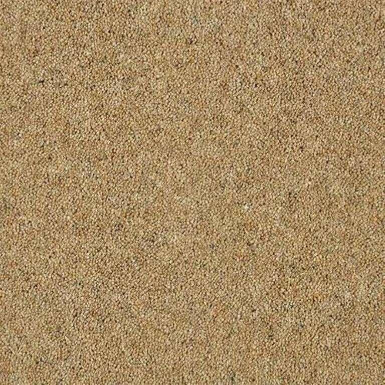 Abingdon Wilton Royal Charter Berber Deluxe Sandstone Carpet