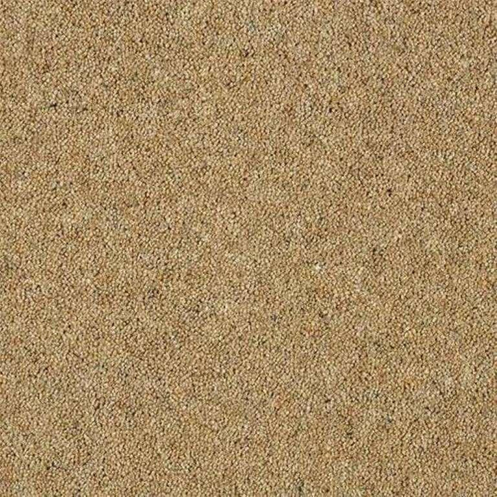 Abingdon Wilton Royal Charter Berber Deluxe Sandstone Carpet