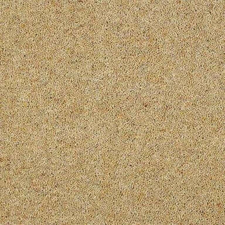 Abingdon Wilton Royal Charter Berber Deluxe Honey Gold Carpet