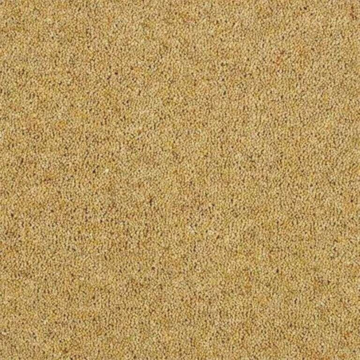 Abingdon Wilton Royal Charter Berber Deluxe Summer Sun Carpet