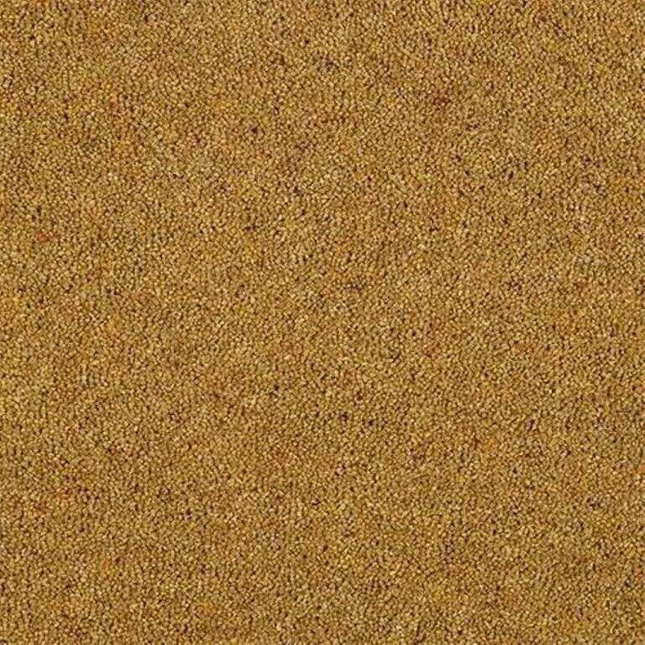 Abingdon Wilton Royal Charter Berber Deluxe Mustard Carpet